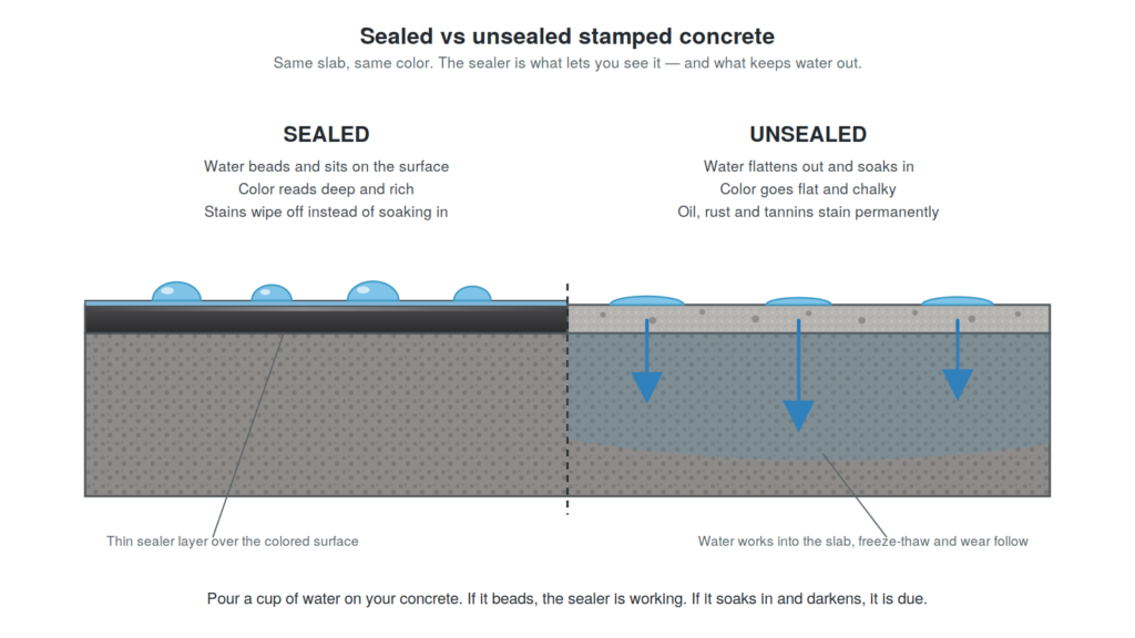 Diagram comparing sealed and unsealed stamped concrete — water beads on the sealed half and soaks into the unsealed half
