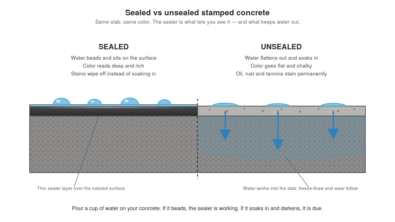 Diagram comparing sealed and unsealed stamped concrete — water beads on the sealed half and soaks into the unsealed half